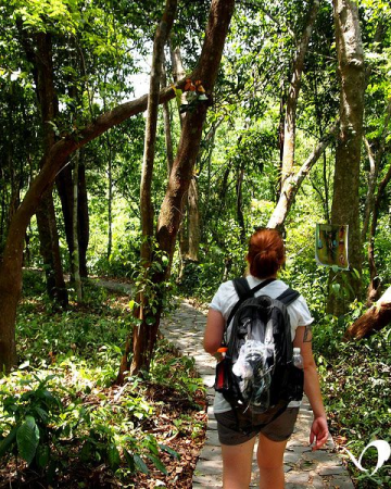 Động Phong Nha – Trekking Thác Gió Vườn Thực Vật